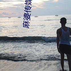 麻婆传媒 离本依末）