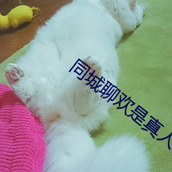 同城聊歡是真人嗎