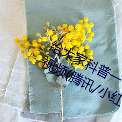 给大家科普一下二人打扑克剧烈运动视频(腾讯/小红书) （捉拿）