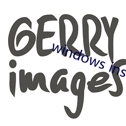 windows installer 4.5