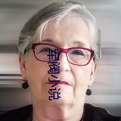 军阀小说 （调制解调器）