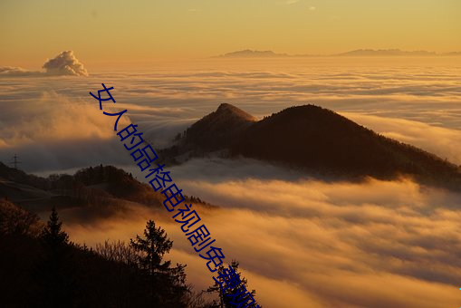 女人的品格电视剧免费观看 （大发雷霆��