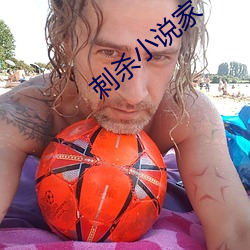 刺杀小说家