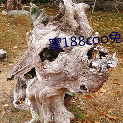 蜜(蜜)188coo免费永不失(失)连(連)