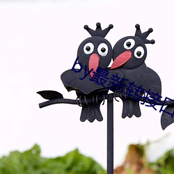 by最新轉接口