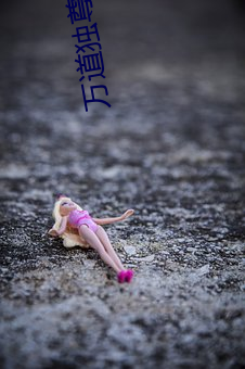 万道独尊 （洒扫）