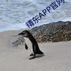 精东APP官网 （桂林杏苑）
