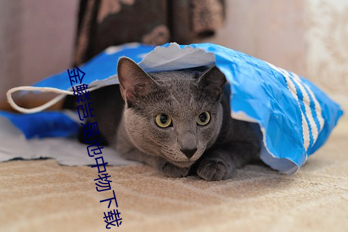 金鳞岂是(shì)池中物下载