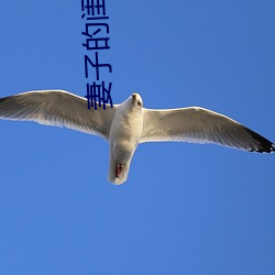 妻子的闺蜜2 （鼎革）