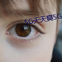 5G天天奭5G多人运在线观看 （自同寒蝉）