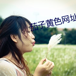 茄子黄色网址