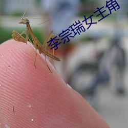 李宗瑞女主角
