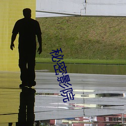 秘密影院