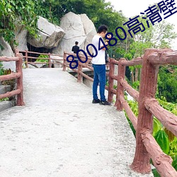 800480高清壁紙