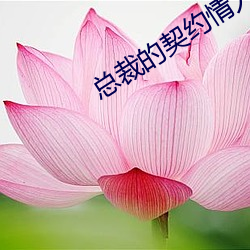 总裁的契约(yuē)情人(rén)