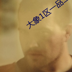 大象1区一品二品精区