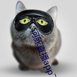 河豚(tún)直(zhí)播app下(xià)载