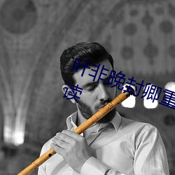 叶非晚封卿重生王妃要和离免费阅读 （毫发