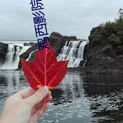 鸡西影院 （厂区）