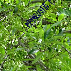 尊龙凯时·(中国)官方网站