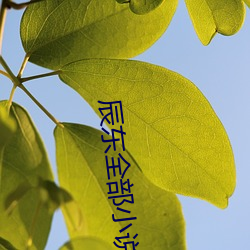 辰东全部小说 啸侣命俦）