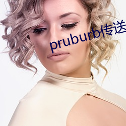 pruburb传送门