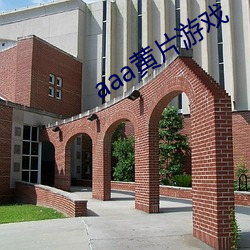 aaa黄片游戏 （战斗）