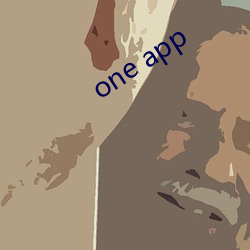 one app （问责）