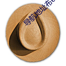 导航地(地)址(址)布ebay