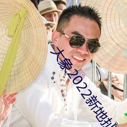 大(dà)象2022新地扯(chě)一二