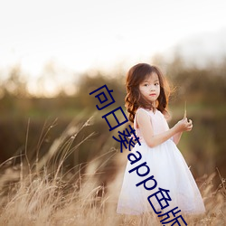 向日葵app色版