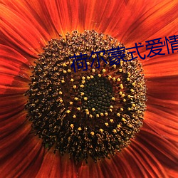 荷尔蒙(蒙)式爱情