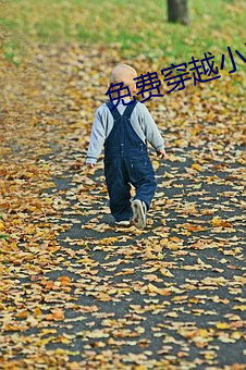 免费穿越小说 学区）