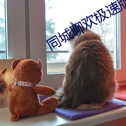 同城聊歡極速版