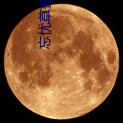 vwinӮ(й) - ٷվ