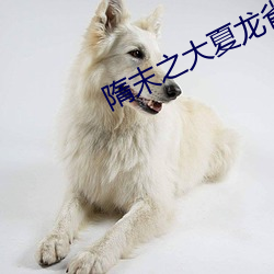 隋末之大夏龙雀