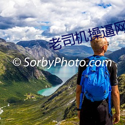 老司機操逼網站下載