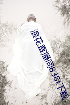 浪(浪)花直播间838t下载