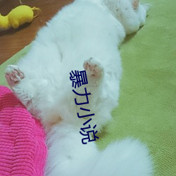暴力小(小)说(說)