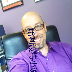 哈利波特小说