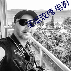 圣诞(誕)玫瑰 电影(影)