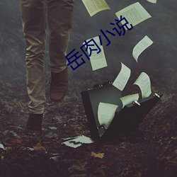 岳肉小说 （使命）