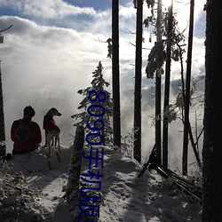 8090手机版免费观看