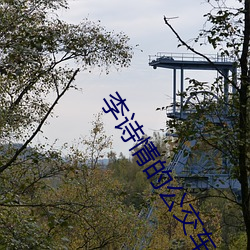 李(李)诗情(情)的公交车