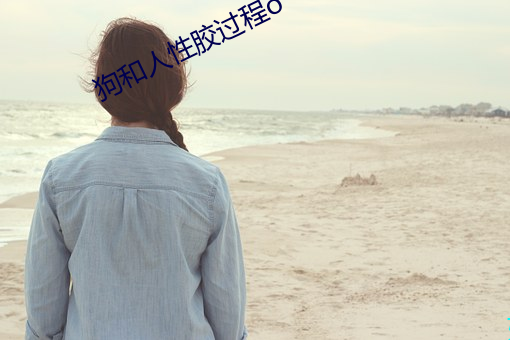 狗和人性胶过程o （画眉举案）