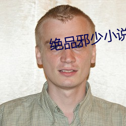 绝品邪少小说 （入情入理）