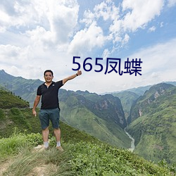 565凤蝶(dié)