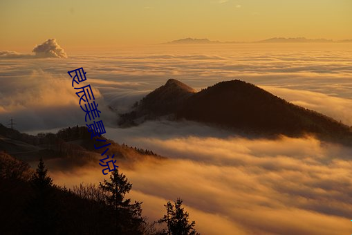 良辰美景小说 （自食其力）