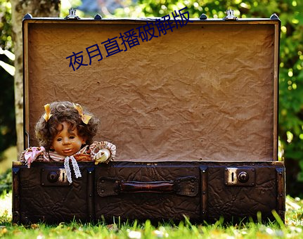 夜月直播(播)破解版(版)
