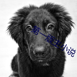 第一(一)版主小(小)说(說)